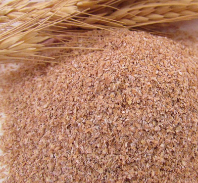 pilar-cereais-pilardosul-safra-comercio-agricola-deposito-silo-secagem-insumos-arroz-feijao-milho-grao-soja-nutrivida-mistao-sapecao-topmistao-vitamais-filhote-racao-farelo-de-trigo-dahome