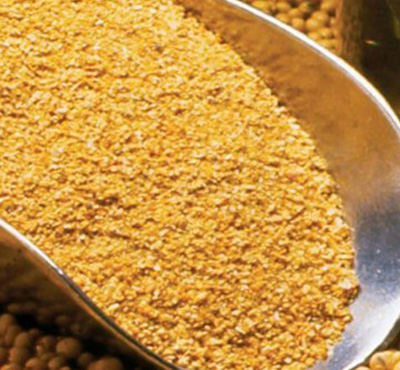 pilar-cereais-pilardosul-safra-comercio-agricola-deposito-silo-secagem-insumos-arroz-feijao-milho-grao-soja-nutrivida-mistao-sapecao-topmistao-vitamais-filhote-racao-farelo-de-soja-dahome