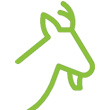 pilar-cereais-pilardosul-safra-comercio-agricola-deposito-silo-secagem-insumos-arroz-feijao-milho-grao-soja-nutrivida-mistao-sapecao-topmistao-vitamais-filhote-racao-caprinos