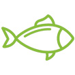 pilar-cereais-pilardosul-safra-comercio-agricola-deposito-silo-secagem-insumos-arroz-feijao-milho-grao-soja-nutrivida-mistao-sapecao-topmistao-vitamais-filhote-racao-peixes